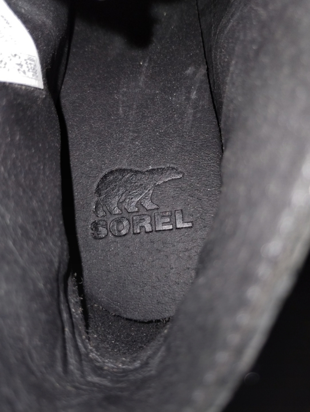 Sorel Black Ankle Boots with Bold Blue Chunky Heel - Picture 7 of 7